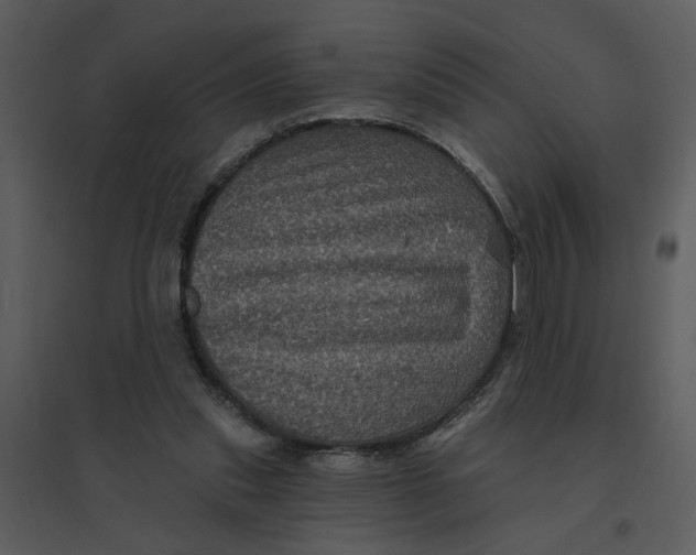 X0000095550253200801041337