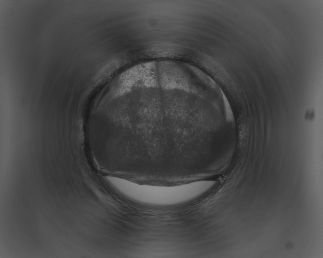 X0000095550254200801041337