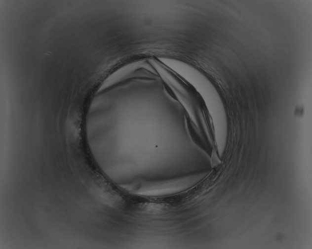 X0000095550255200801041337