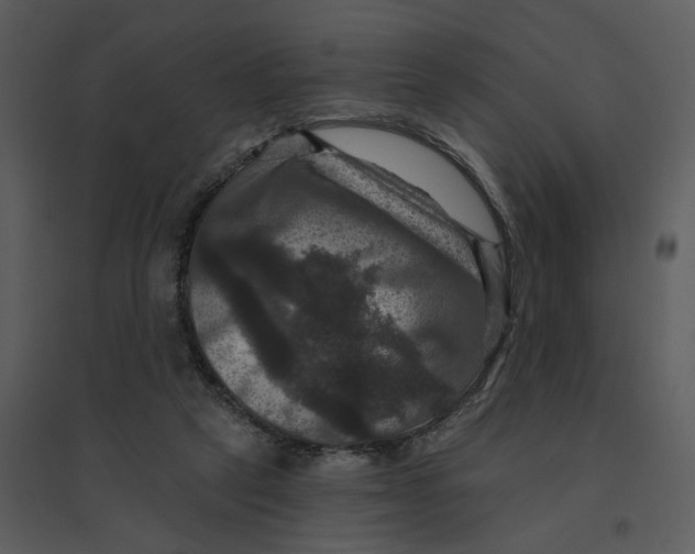 X0000095550257200801041337