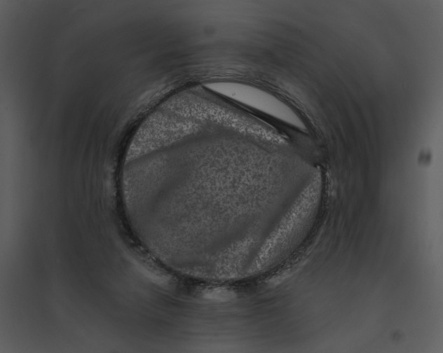 X0000095550258200801041337