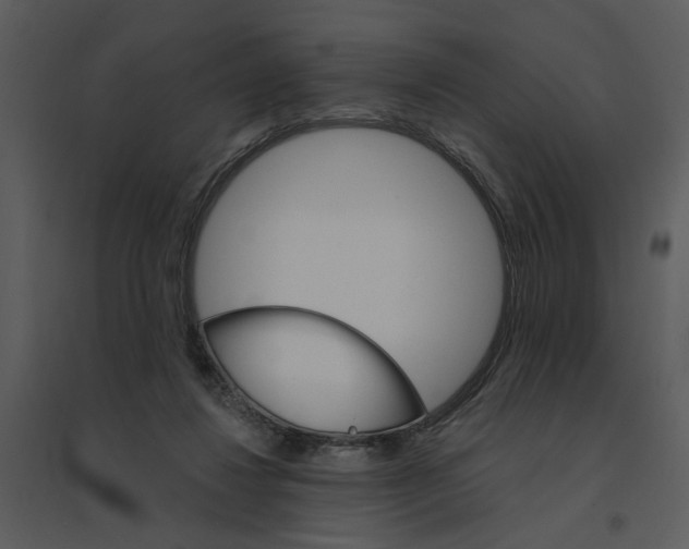 X0000095550260200801041337