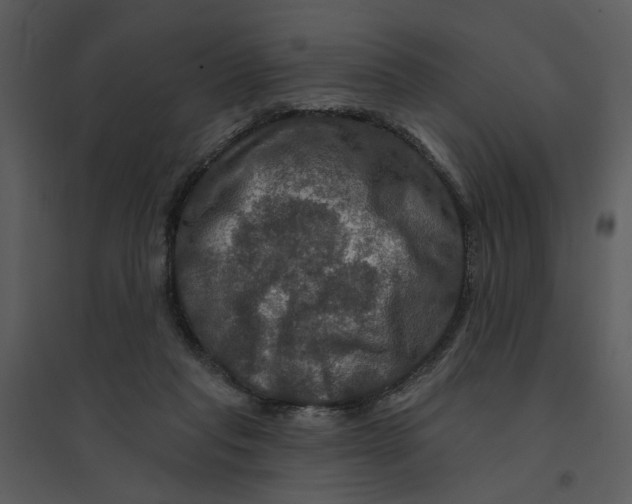 X0000095550261200801041337