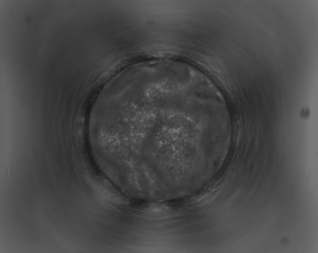 X0000095550263200801041337