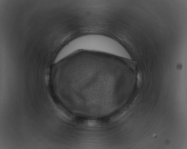 X0000095550264200801041337