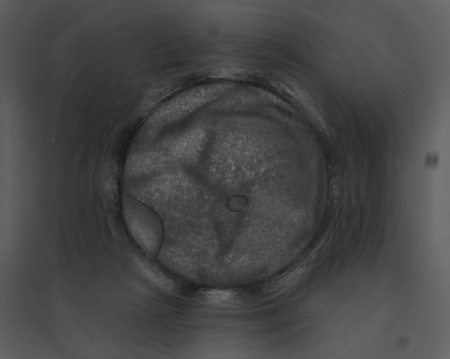 X0000095550265200801041337