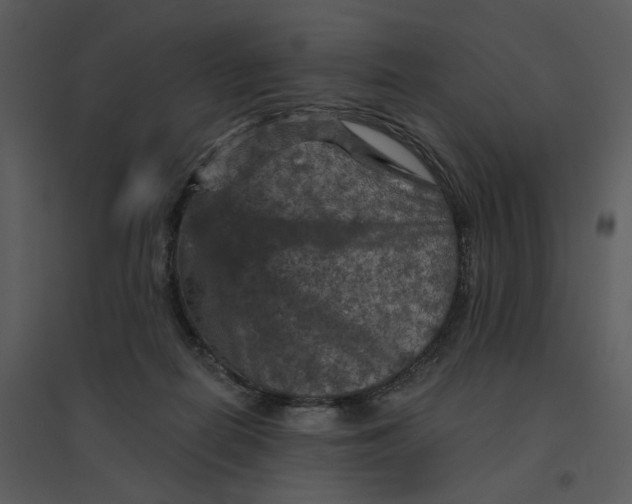 X0000095550266200801041337