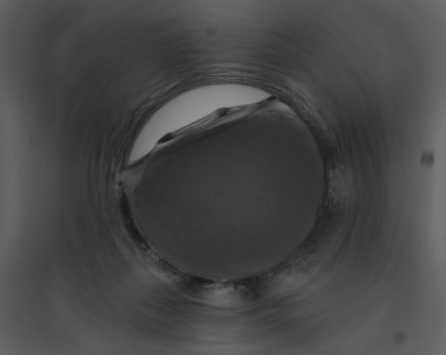 X0000095550267200801041337