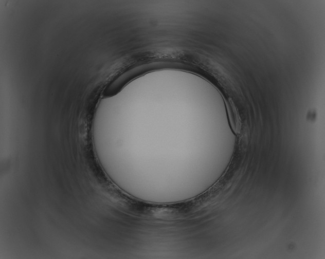 X0000095550268200801041337