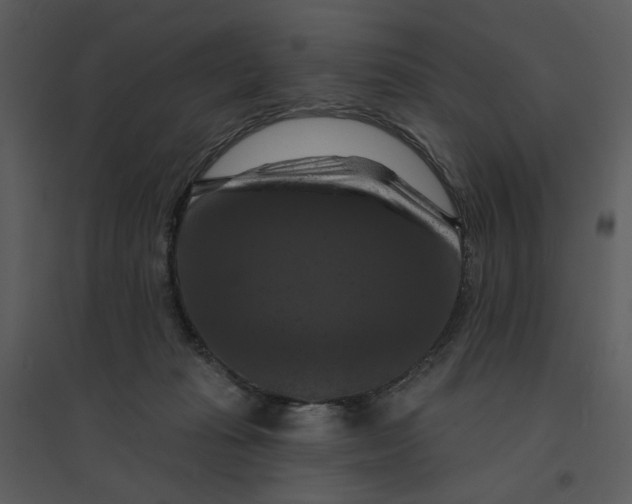 X0000095550269200801041337