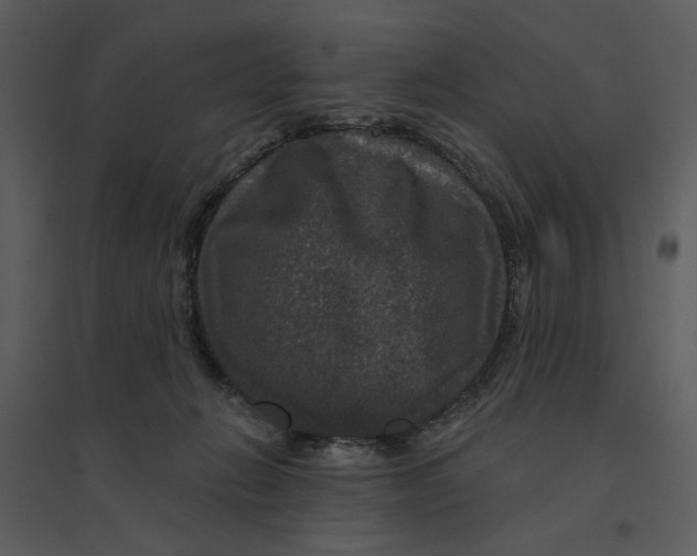 X0000095550270200801041337