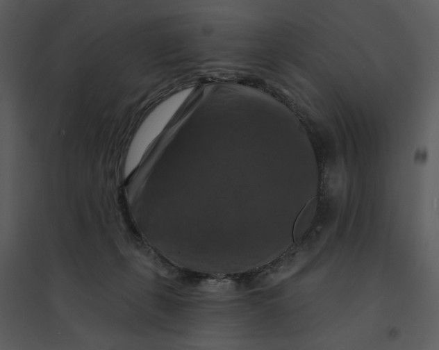 X0000095550271200801041337