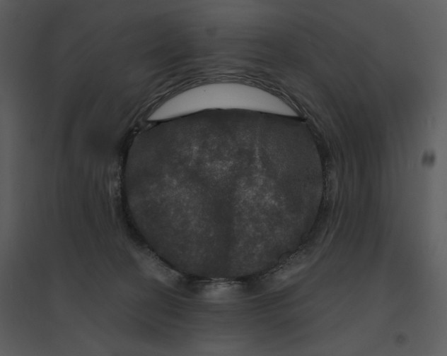 X0000095550274200801041337