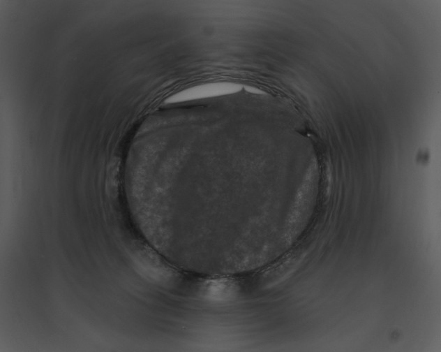 X0000095550275200801041337