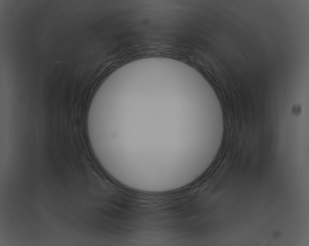 X0000095550276200801041337