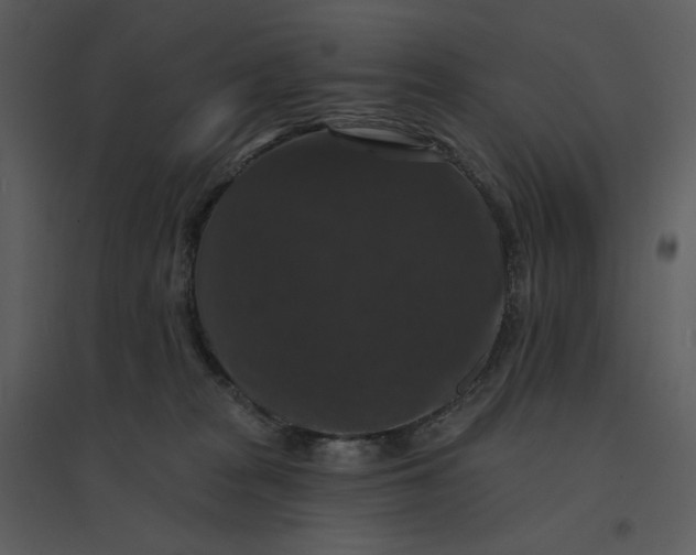 X0000095550277200801041337