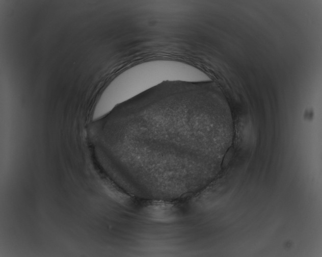 X0000095550278200801041337