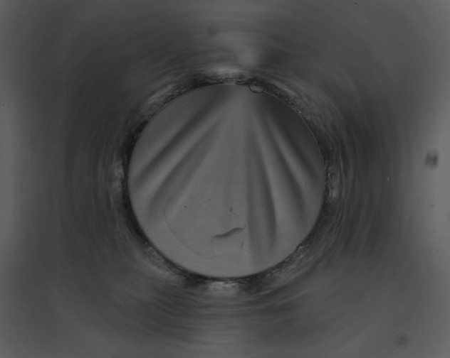 X0000095550279200801041337