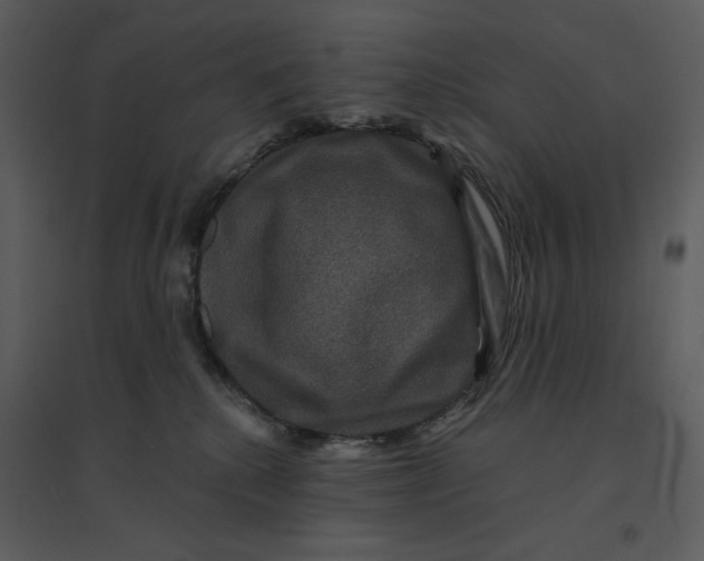 X0000095550280200801041337