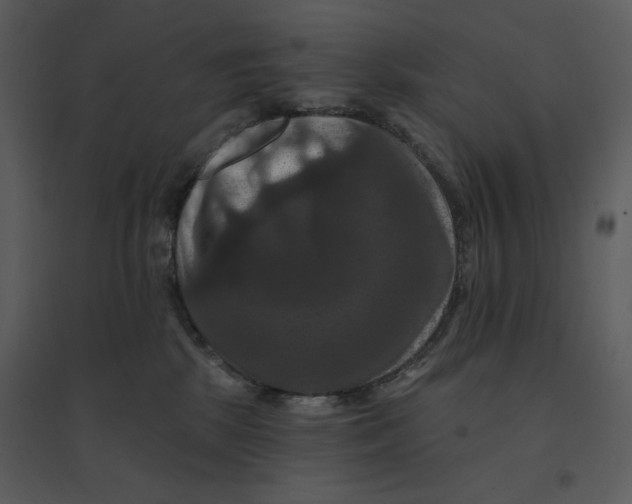 X0000095550281200801041337