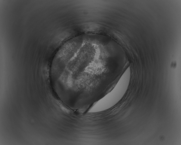 X0000095550282200801041337