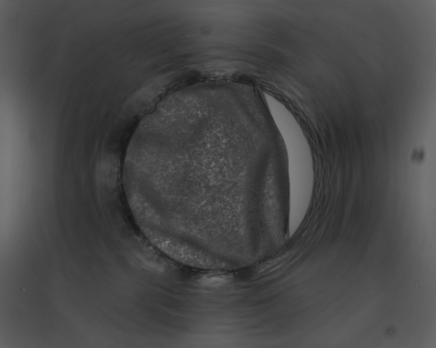 X0000095550283200801041337