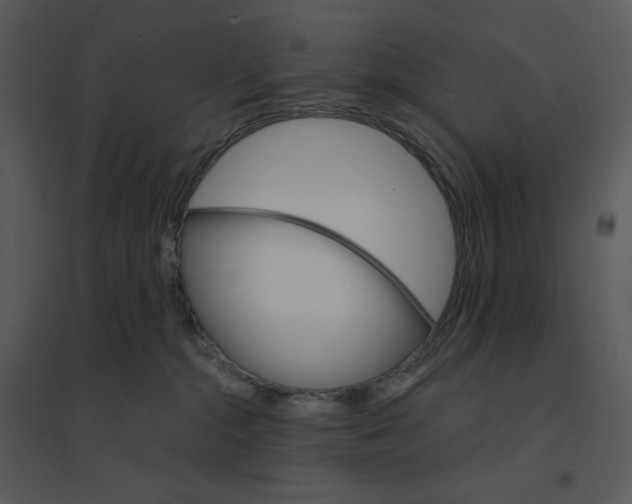 X0000095550284200801041337