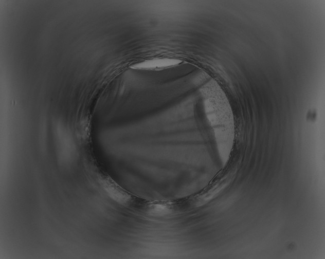 X0000095550285200801041337