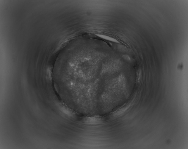 X0000095550286200801041337