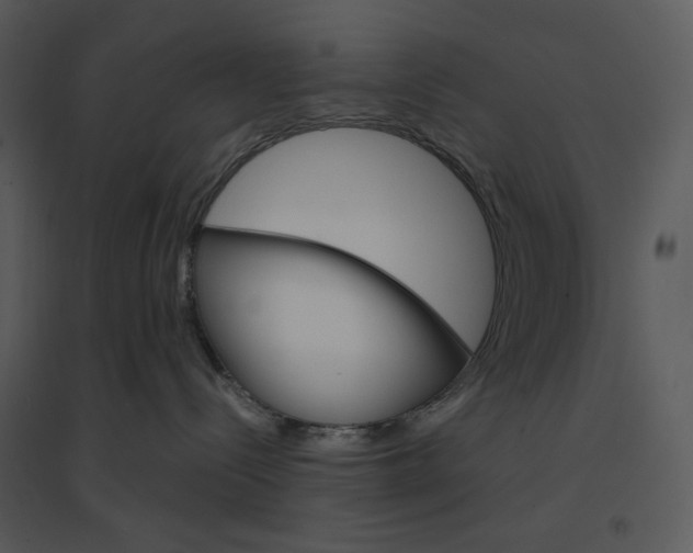 X0000095550288200801041337