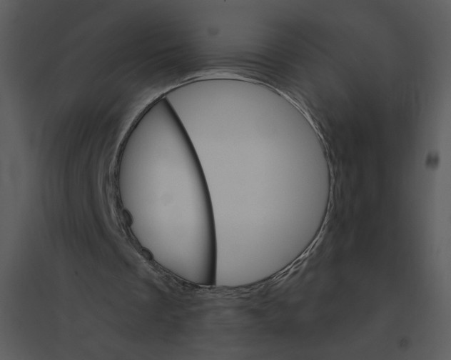 X0000095550289200801041337