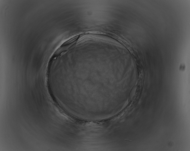 X0000095550290200801041337