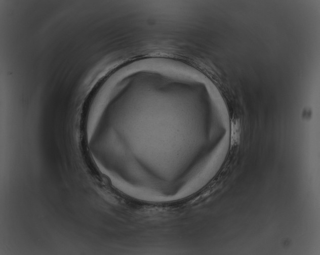 X0000095550291200801041337