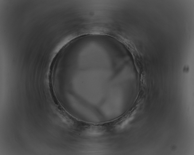 X0000095550292200801041337