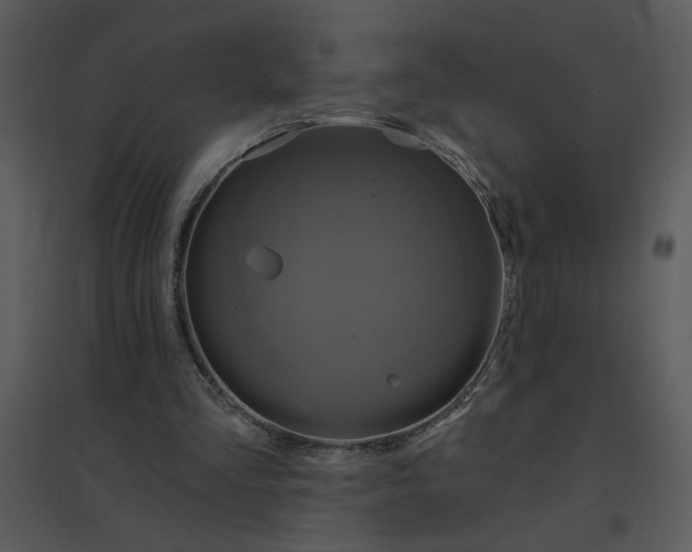 X0000095550293200801041337