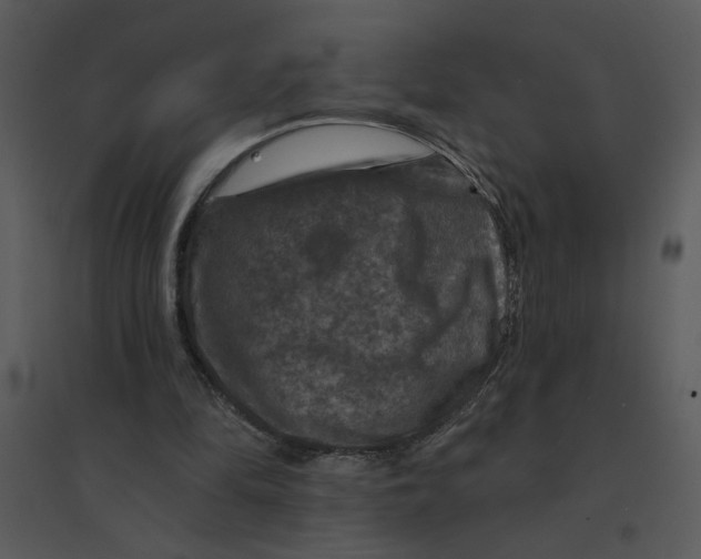 X0000095550294200801041337