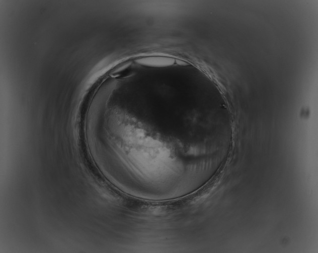 X0000095550295200801041337