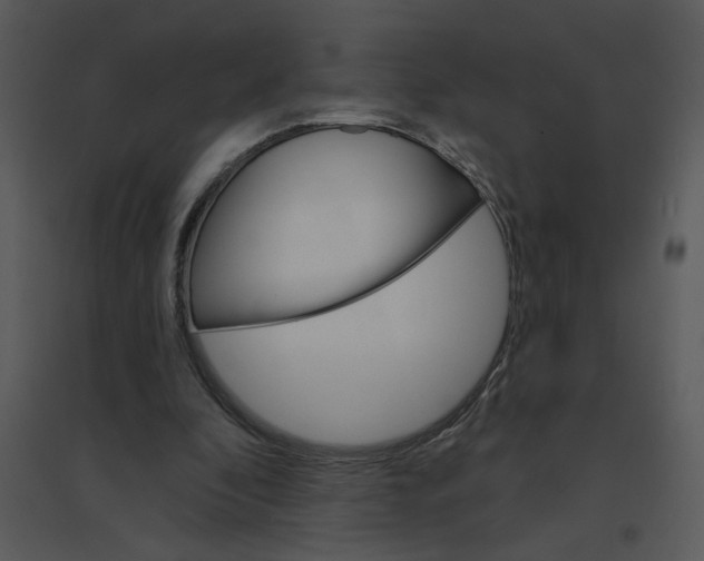 X0000095550296200801041337