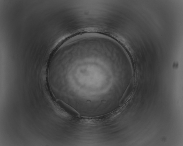 X0000095550297200801041337