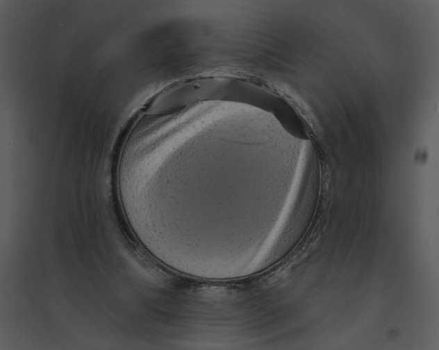 X0000095550298200801041337