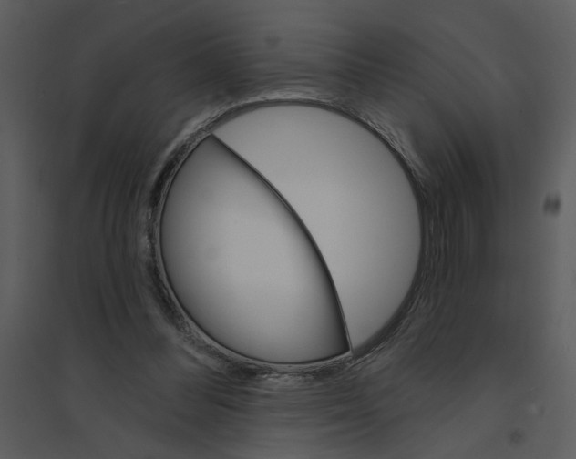 X0000095550300200801041337