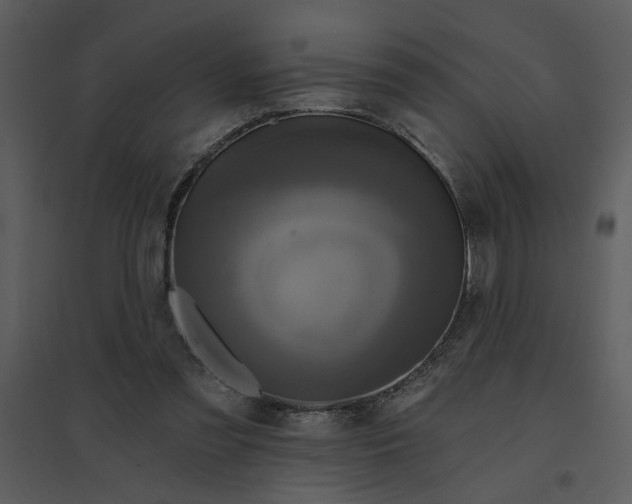 X0000095550301200801041337