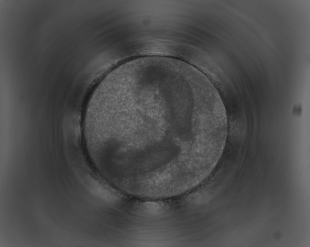 X0000095550302200801041337