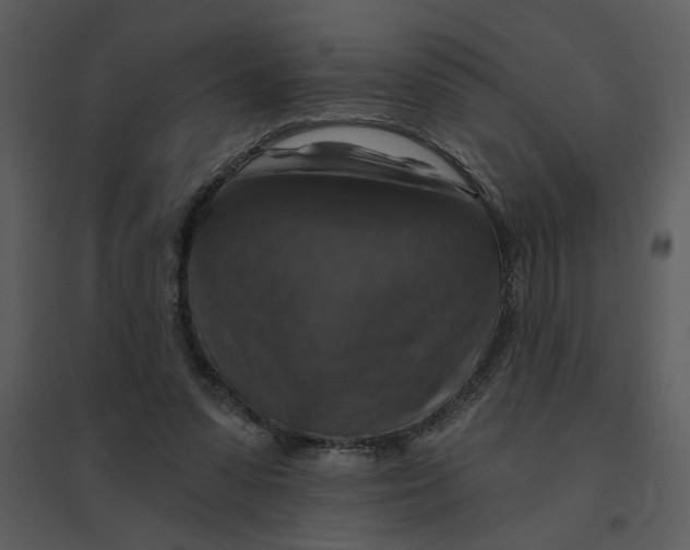 X0000095550303200801041337