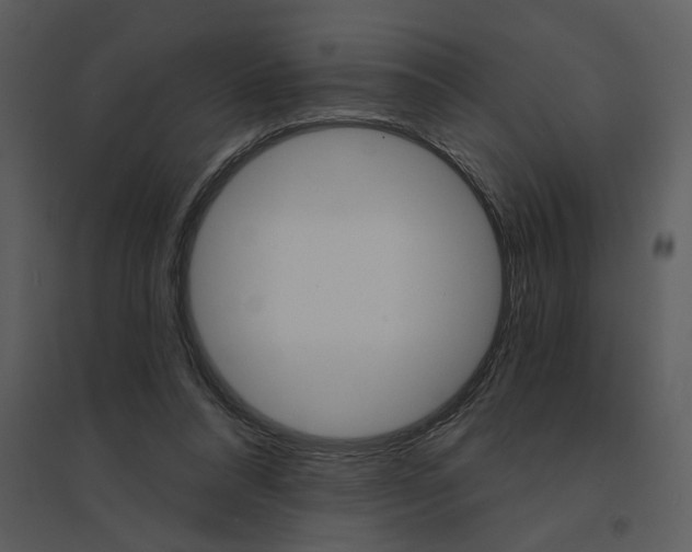 X0000095550304200801041337