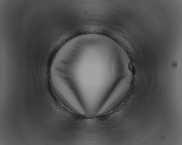 X0000095550306200801041337