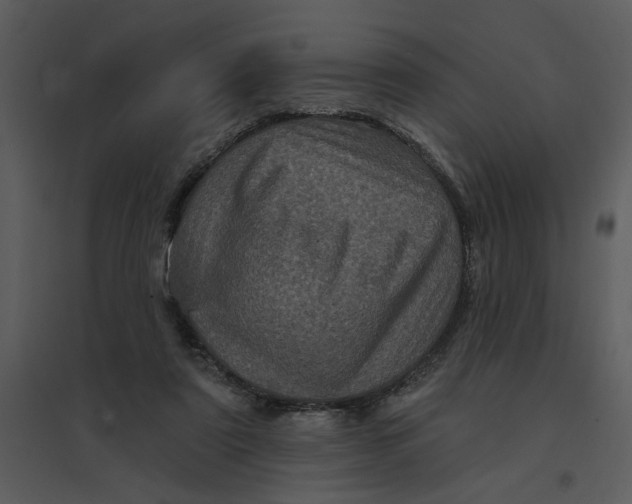 X0000095550307200801041337