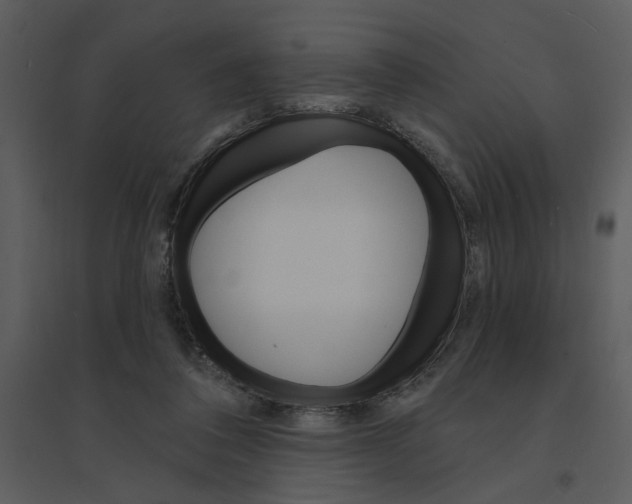 X0000095550308200801041337