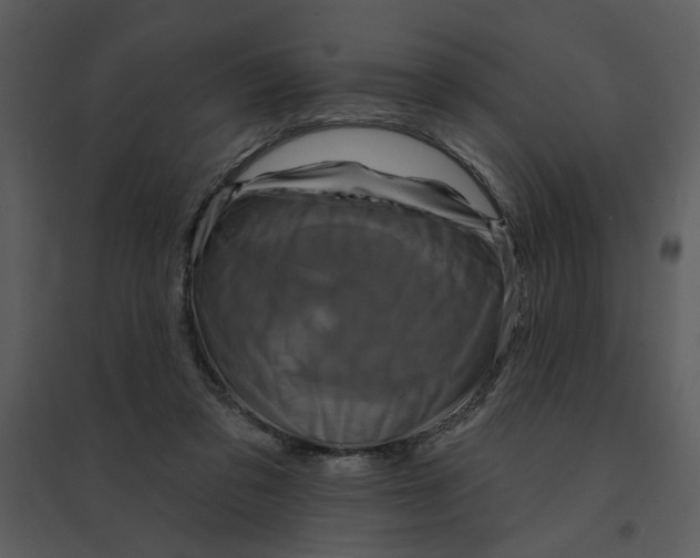 X0000095550309200801041337