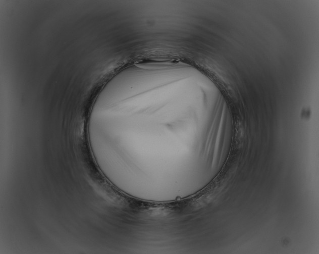 X0000095550310200801041337